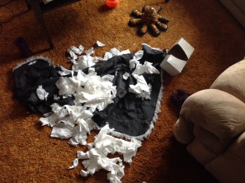 the terrible aftermath